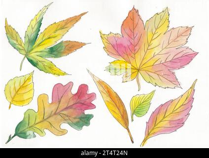 Aquarell Clipart Herbstblätter isoliert Hand auf weißem Hintergrund gezeichnet. Wunderschöne bunte botanische Illustration. Kunst für Designkarte, Logo Hochzeit Stockfoto