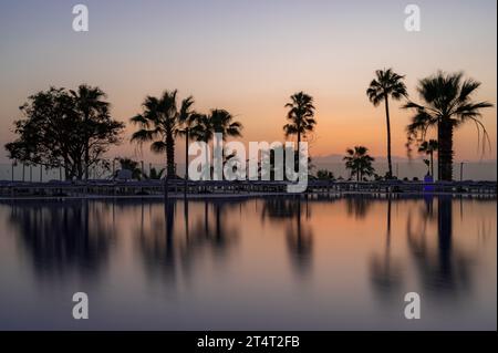 Palmen, die sich vor einem orangen Sonnenuntergang in sehr ruhigem Wasser spiegeln, auf Teneriffa, Spanien Stockfoto