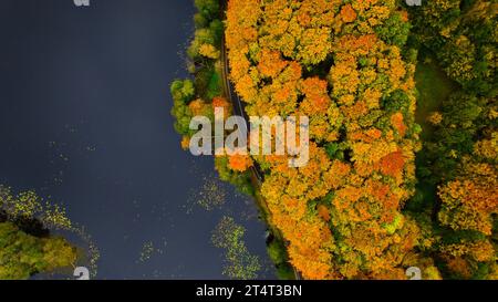 Eine exquisite Herbstszene im Herzen von Połczynska Schweiz, Polen, aufgenommen vom Aussichtspunkt einer Drohne. Eine kurvige Straße schlängelt sich entlang der edg Stockfoto