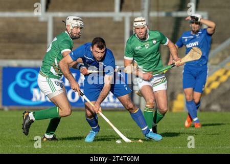 Actionbild aus dem irischen gegen Schottland Shinty Hurling, gespielt im Jahr 2023 bei Pairc Esler, Newry, Nordirland. Stockfoto