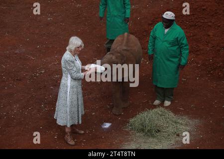 Nairobi, Kenia. November 2023. Königin Camilla füttert einen Elefanten bei einem Besuch der Sheldrick Trust Foundation in Nairobi mit Milch. Königin Camilla und König Karl III. Sind auf Einladung von Präsident William Ruto zu einem Staatsbesuch in Kenia. Quelle: SOPA Images Limited/Alamy Live News Stockfoto