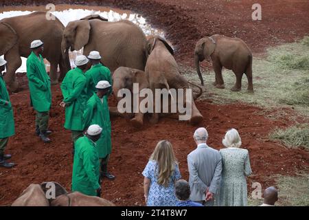 Nairobi, Kenia. November 2023. König Charles III. Und Königin Camilla beobachten Elefanten bei der Sheldrick Trust Foundation in Nairobi. Königin Camilla und König Karl III. Sind auf Einladung von Präsident William Ruto zu einem Staatsbesuch in Kenia. Quelle: SOPA Images Limited/Alamy Live News Stockfoto