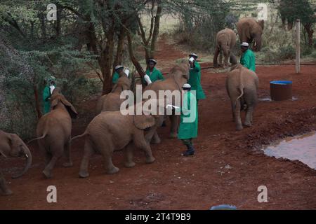 Nairobi, Kenia. November 2023. Elefantenpfleger füttern Elefantenbabys mit Milch in der Sheldrick Trust Foundation, wo König Charles III. Und Königin Camilla mehr über die Stiftung erfahren. Königin Camilla und König Karl III. Sind auf Einladung von Präsident William Ruto zu einem Staatsbesuch in Kenia. (Foto: John Ochieng/SOPA Images/SIPA USA) Credit: SIPA USA/Alamy Live News Stockfoto