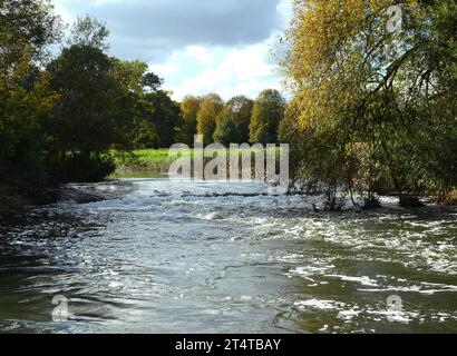 Der Fluss Avon ist bei Alveston Weir überschwemmt Stockfoto