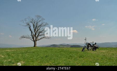 Motorradtour im Vintage-Chopper am Sommertag. Benutzerdefinierter Stil. Ledertaschen. Stockfoto