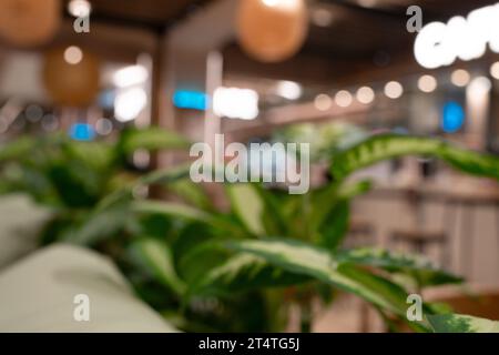Blur Coffee Shop oder Café Restaurant mit abstrakten Bokeh licht bild Hintergrund. Für die Montage des Produkts angezeigt oder Design Key Visual Layout Stockfoto