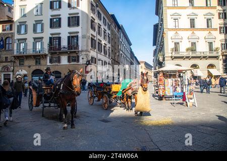 Florenz, Italien: Pferdekutsche an der Piazza del Duomo in Florenz, der Hauptstadt der Toskana in Italien. Stockfoto