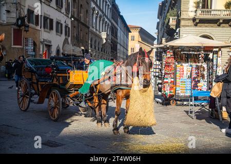 Florenz, Italien: Pferdekutsche an der Piazza del Duomo in Florenz, der Hauptstadt der Toskana in Italien. Stockfoto