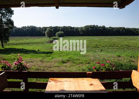 Das Panorama der Obedska Bara in Serbien in Kupinovo. Obedska bara ist ein großes Sumpfwaldgebiet und ein Naturschutzgebiet, das sich entlang des Sparens erstreckt Stockfoto