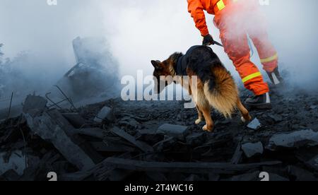 Such- und Rettungskräfte durchsuchen zerstörte Gebäude mit Hilfe von Rettungshunden Stockfoto