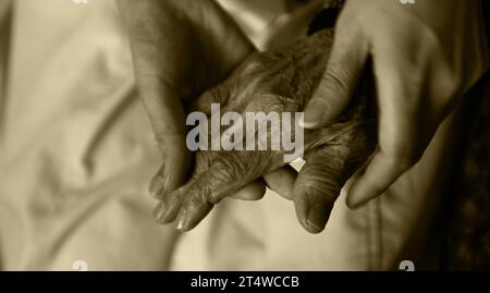 Die Hand des jungen Mädchens hält die zerknitterten Hände der alten Frau Stockfoto