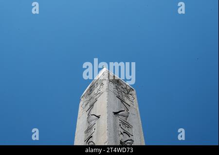 Ein einsamer Vogel thront auf dem antiken Theodosius Obelisken vor Istanbuls blauem Himmel. Stockfoto