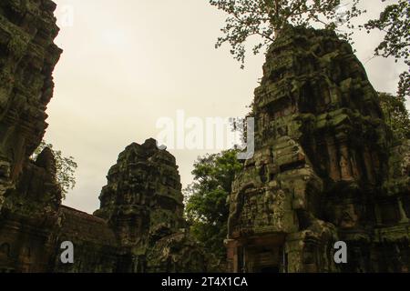 Alte Galerie der erstaunlichen Ta Prohm Tempel mit Bäumen überwuchert. Geheimnisvolle Ruinen von Ta Prohm, eingebettet zwischen Regenwald in Angkor, Siem Reap, Kambodscha. Stockfoto