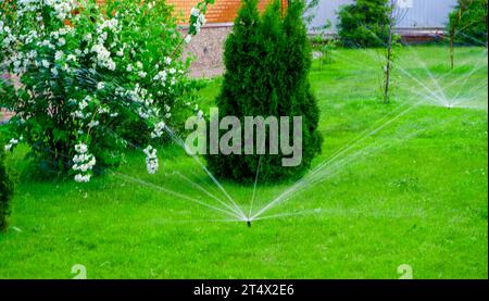 Sammer im Garten. Automatische Bewässerung des grünen Rasens Stockfoto