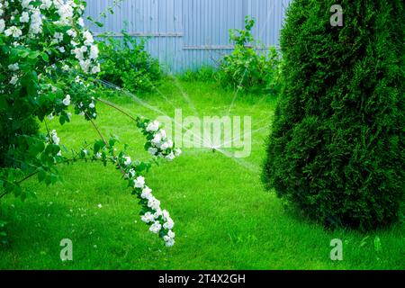 Sammer im Garten. Automatische Bewässerung des grünen Rasens Stockfoto