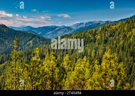 Klamath Mountains, Fernsicht von Bear Camp Road, Forest Service Rd 23, in der Nähe der Gemeinde Galice, Rogue River Siskiyou National Forest, Oregon, USA Stockfoto