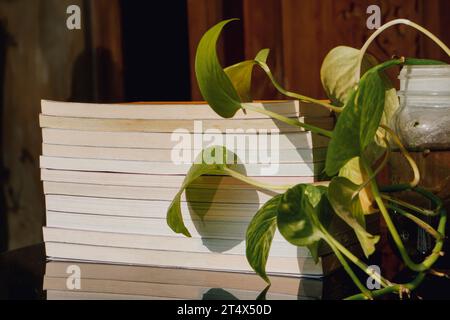 Stapel Bücher auf Glastisch auf dem Balkon des Hauses. Bildungs- und Wissenskonzept. Ein Haufen Bücher zum Lesen Stockfoto