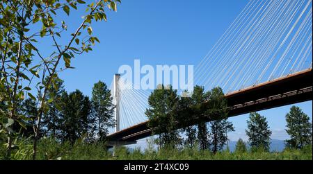 Pylon- und Kabelstabschläuche der Port Mann Bridge, weiße Stabschläuche, Betonsäule, Industrie, Metall, blauer Himmel. Weiße Wolken Stockfoto