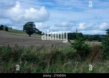 Blick auf das Lanchester Valley im frühen Herbst Stockfoto