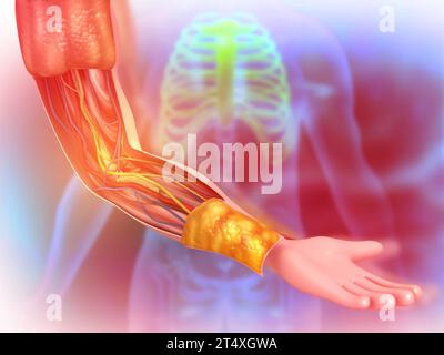 Die menschliche Handanatomie auf medizinischem Hintergrund. 3D-Abbildung Stockfoto