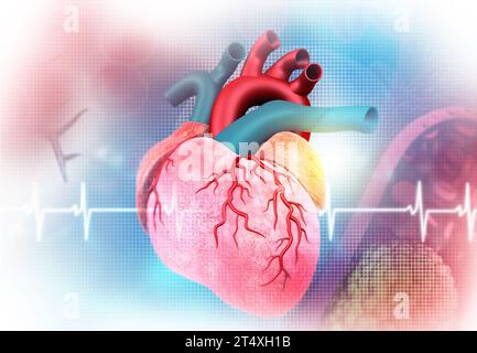 Menschliches Herz und EKG-Diagramm. 3D-Abbildung Stockfoto