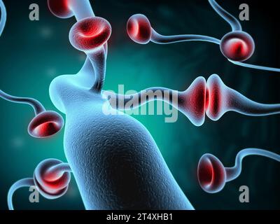 Neuronales Netzwerk im Gehirn. Nervensystem , Neuronen. 3D-Rendering Stockfoto