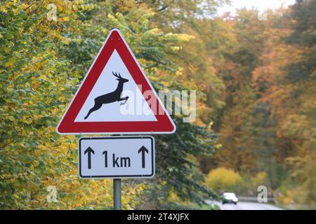 Blick am Mittwoch 01.11.2023 unweit von Pisede Landkreis Mecklenburgische Seenplatte auf das Verkehrsschild Wildwechsel. Das Waldgebiet unweit des Ortes ist besonders von Wildunfällen betroffen. Dahingehend wird besonders zu Beginn der kalten Jahreszeit immer wieder auf die Gefahr durch Wild in den Wäldern des Landes Mecklenburg Vorpommern hingewiesen. *** Ansicht am Mittwoch 01 11 2023 unweit des Landkreises Pisede Mecklenburg Seenland auf dem Straßenschild Wildwechsel ist das Waldgebiet unweit des Dorfes besonders von Unfällen mit Wildtieren betroffen, vor allem am Begi Stockfoto