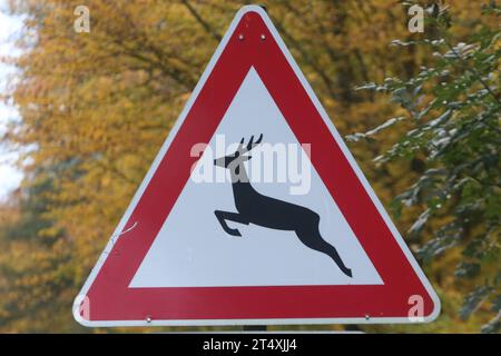 Blick am Mittwoch 01.11.2023 unweit von Pisede Landkreis Mecklenburgische Seenplatte auf das Verkehrsschild Wildwechsel. Das Waldgebiet unweit des Ortes ist besonders von Wildunfällen betroffen. Dahingehend wird besonders zu Beginn der kalten Jahreszeit immer wieder auf die Gefahr durch Wild in den Wäldern des Landes Mecklenburg Vorpommern hingewiesen. *** Ansicht am Mittwoch 01 11 2023 unweit des Landkreises Pisede Mecklenburg Seenland auf dem Straßenschild Wildwechsel ist das Waldgebiet unweit des Dorfes besonders von Unfällen mit Wildtieren betroffen, vor allem am Begi Stockfoto