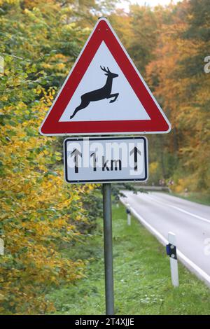 Blick am Mittwoch 01.11.2023 unweit von Pisede Landkreis Mecklenburgische Seenplatte auf das Verkehrsschild Wildwechsel. Das Waldgebiet unweit des Ortes ist besonders von Wildunfällen betroffen. Dahingehend wird besonders zu Beginn der kalten Jahreszeit immer wieder auf die Gefahr durch Wild in den Wäldern des Landes Mecklenburg Vorpommern hingewiesen. *** Ansicht am Mittwoch 01 11 2023 unweit des Landkreises Pisede Mecklenburg Seenland auf dem Straßenschild Wildwechsel ist das Waldgebiet unweit des Dorfes besonders von Unfällen mit Wildtieren betroffen, vor allem am Begi Stockfoto