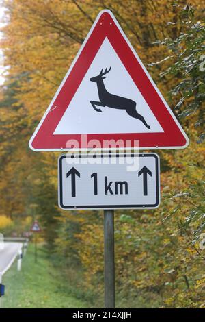 Blick am Mittwoch 01.11.2023 unweit von Pisede Landkreis Mecklenburgische Seenplatte auf das Verkehrsschild Wildwechsel. Das Waldgebiet unweit des Ortes ist besonders von Wildunfällen betroffen. Dahingehend wird besonders zu Beginn der kalten Jahreszeit immer wieder auf die Gefahr durch Wild in den Wäldern des Landes Mecklenburg Vorpommern hingewiesen. *** Ansicht am Mittwoch 01 11 2023 unweit des Landkreises Pisede Mecklenburg Seenland auf dem Straßenschild Wildwechsel ist das Waldgebiet unweit des Dorfes besonders von Unfällen mit Wildtieren betroffen, vor allem am Begi Stockfoto