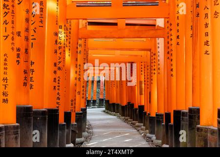 Kyoto, Japan bis 13. April 2023: Torri-Pfad durch die goldfarbenen Torri-Tore des Fushimi Inari-Taisha-Schreins am Fuße des Inari-Berges Stockfoto