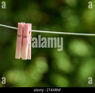 Nahaufnahme der Waschleitung mit Nadeln, die draußen vor einem Bokeh-grünen Hintergrund hängen. Leere Wäscheleine mit Plastikklammer im Garten Stockfoto