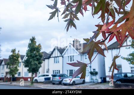 LONDON, 31. OKTOBER 2023: Straße mit typischen Häusern in der Wohngegend von Acton, West London Stockfoto