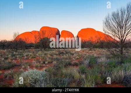 Die letzten Sonnenstrahlen leuchten Kata Tjuta (die Olgas) kurz vor Sonnenuntergang im Uluru-Kata Tjuta National Park, Northern Territory, Australien Stockfoto