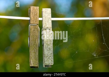 Holzstifte mit Spinnennetzen auf einer Wäscheleine vor verschwommenem Hintergrund. Nahaufnahme eines Spinnennetzes, der neben zwei verwitterten alten Wäschespindern aufgereiht ist Stockfoto