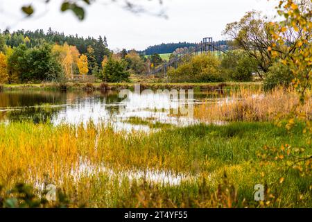 Tirschenreuther Teichpfanne, Teich mit breiter Sedimentationszone von Gräsern, im Hintergrund die Aussichtsplattform Himmelsleiter.Tirschenreuth, Deutschland Stockfoto