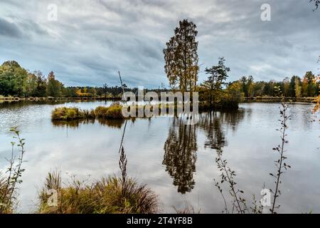 Waldnaab-Auen in der Oberpfalz. Teiche für die Fischzucht prägen eine der ältesten Kulturlandschaften Europas. Tirschenreuth, Deutschland Stockfoto