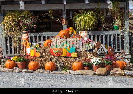 Herbstfarben in den Blue Ridge Mountains Stockfoto