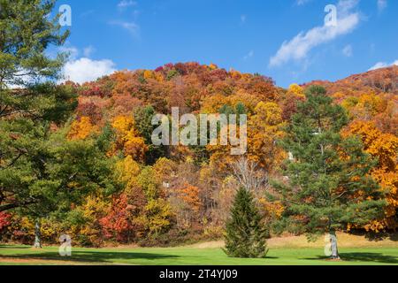 Herbstfarben in den Blue Ridge Mountains Stockfoto