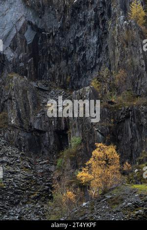 Ballachulish Slate Quarry im Herbst, Highlands, Schottland Stockfoto