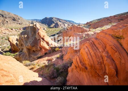 Felsvorsprung im Gold Butte National Monument, Nevada, USA. Stockfoto