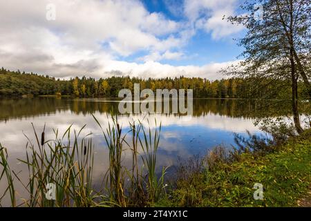 Karpfenteich in der Oberpfalz. Künstliche Teiche für die Fischzucht prägen die Landschaft in der Region Tirschenreuth seit Jahrhunderten. Wiesau (VGem), Deutschland Stockfoto