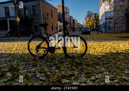 Fahrrad und Herbstlaub gegen das Licht. Montreal, Provinz Quebec, Kanada. Stockfoto