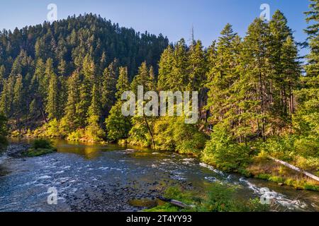 North Umpqua River, Blick von der Brücke auf der FR 4714, in der Nähe des Apple Creek Campground, Umpqua National Forest, Cascade Range, Oregon, USA Stockfoto