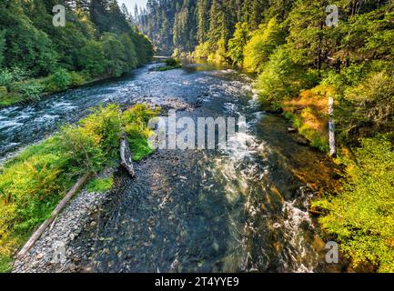 North Umpqua River, Blick von der Brücke auf der FR 4714, in der Nähe des Apple Creek Campground, Umpqua National Forest, Cascade Range, Oregon, USA Stockfoto