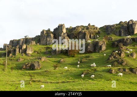 Harboro’ Rocks (oder Harborough Rocks) ist ein dolomitischer Kalkstein-Hügel in der Nähe des Dorfes Brassington im Derbyshire Peak District Stockfoto