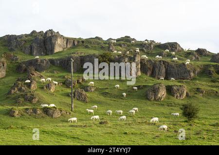 Harboro’ Rocks (oder Harborough Rocks) ist ein dolomitischer Kalkstein-Hügel in der Nähe des Dorfes Brassington im Derbyshire Peak District Stockfoto