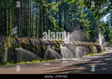 Toketee Project, 1949 Pipeline, beschädigt und undicht, unterhalb des Toketee Lake, am North Umpqua River, in der Nähe der Toketee Falls, Umpqua Natl Forest, Oregon, USA Stockfoto