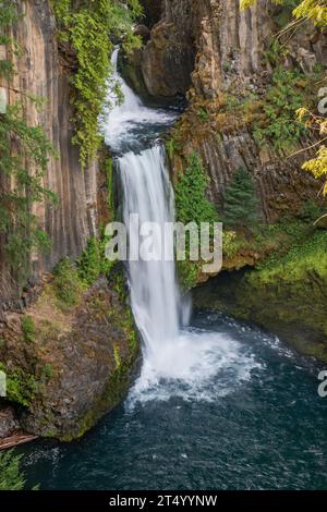 Toketee Falls, am North Umpqua River, Umpqua National Forest, Cascade Range, Oregon, USA Stockfoto