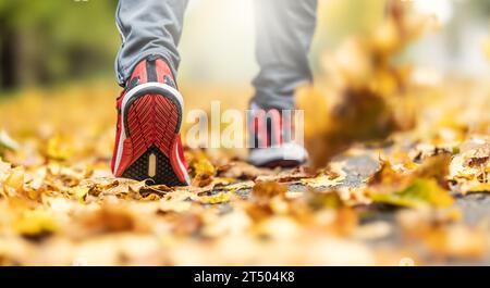 Nahaufnahme der Laufschuhe einer Person, die auf Ahornblättern in herbstlicher Natur läuft. Stockfoto